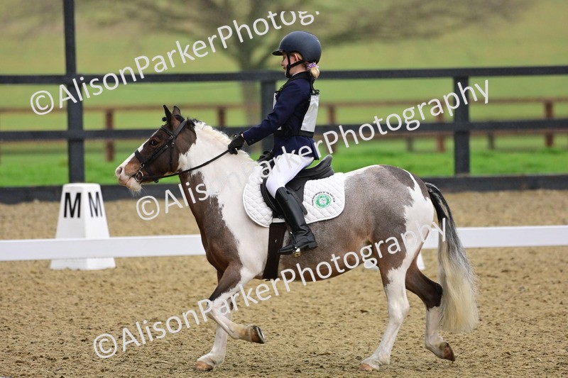 20260125-0633 - Class 9b - Walk Trot Unassisted