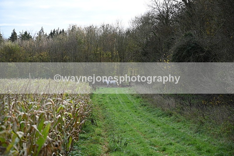 WJ6_2110 - Camera B