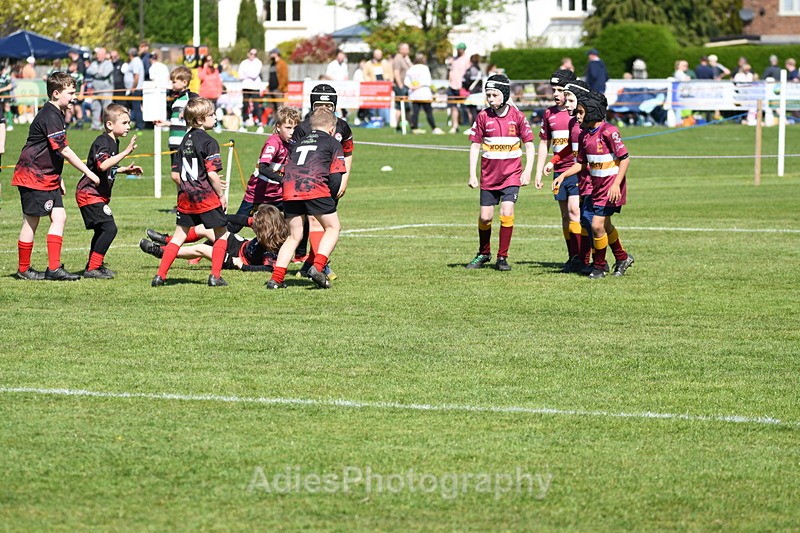  - Selby Rugby Festival 2025