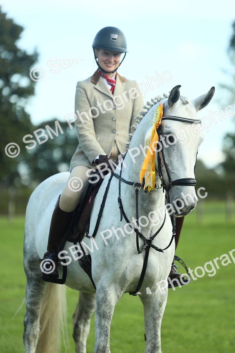 SBM_49951 - S32 - Novice & Newcomers Working Hunter