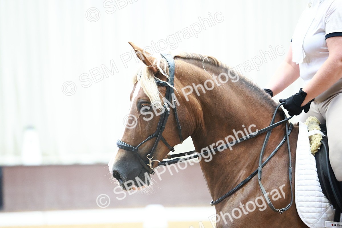 0B8A8439 - Class 1 - Intro 1