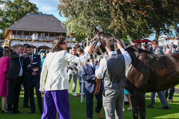 240824-Race 6-Tropical Storm-1671 - Race 6 4.45pm Julia Graves Roses Stakes