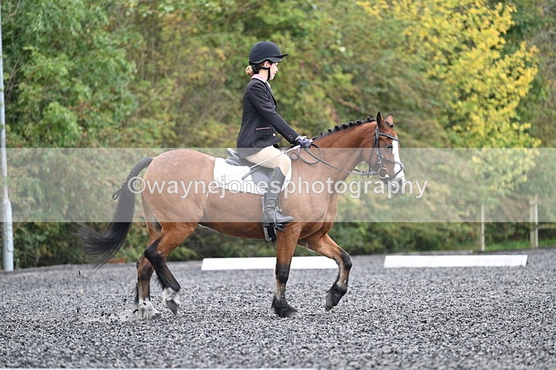 WJ7_3938 - Time 11:04 to 11:38