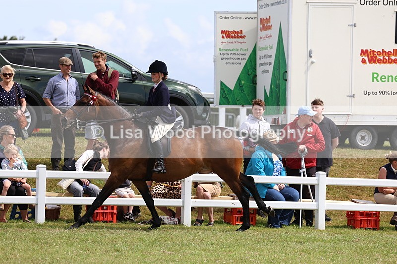 3E7A0622 - Rising Star Ridden Championship