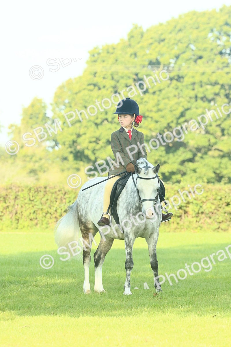 SBM_59173 - S38 - Starters Ridden Showing
