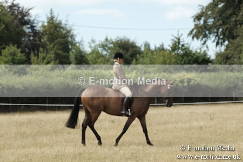 _PJP6078 - BVRC Show 2018 Ring 1