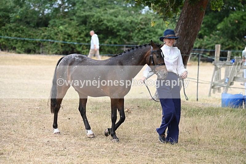 WJ6_7950 - Class 10 Coloured in Hand