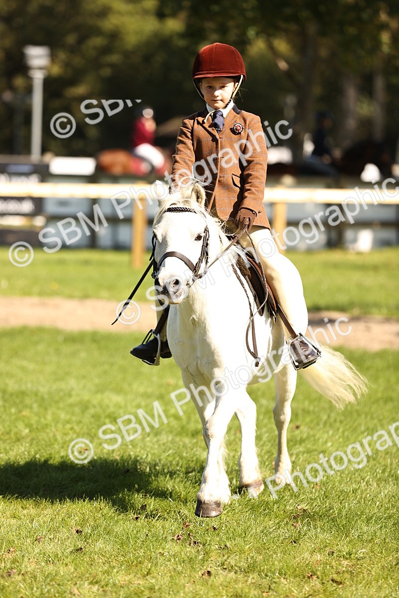 SBM_19261 - S3 - TSR Ridden Pony Showing