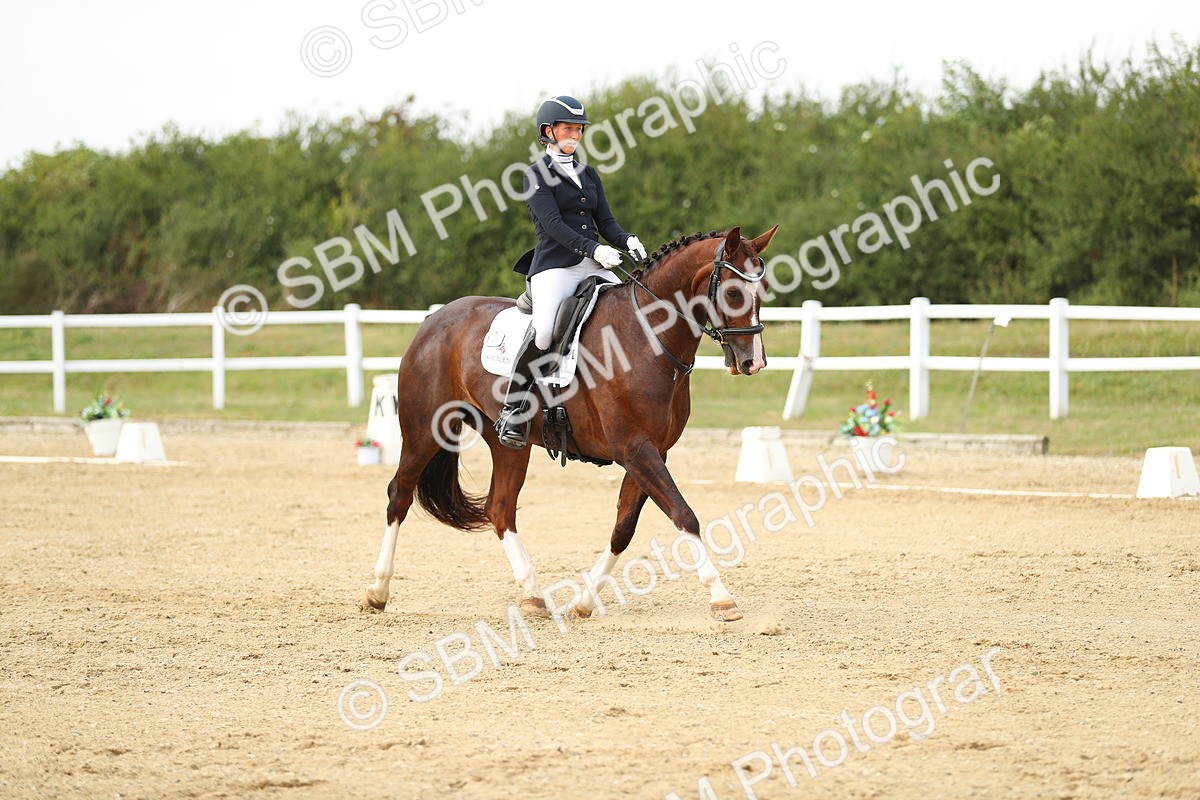 SBM_018461 - Class 14 - Novice 23 - 15.16-16.19