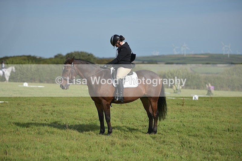 RAY_7766 - Class 2B: Trekenning Open: Dressage