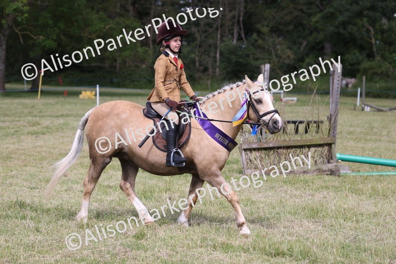 20260614-0849 - Class 20 - Beginners Working Hunter Pony