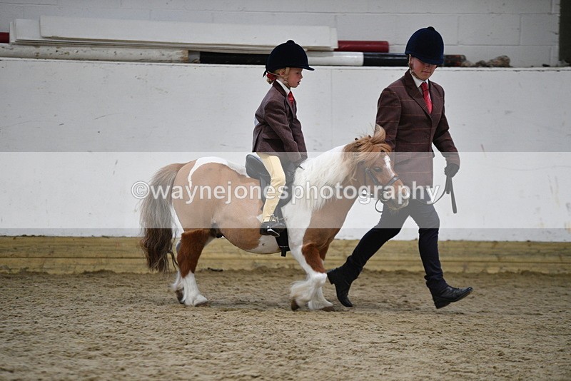 WJ5_6778 - Class 10 Childs Pony