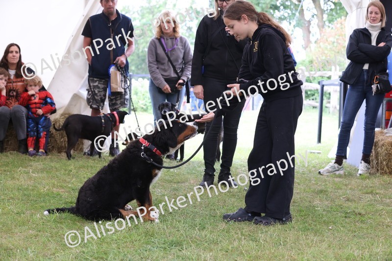 20250607-0262 - Class 6 - Child's Best Friend