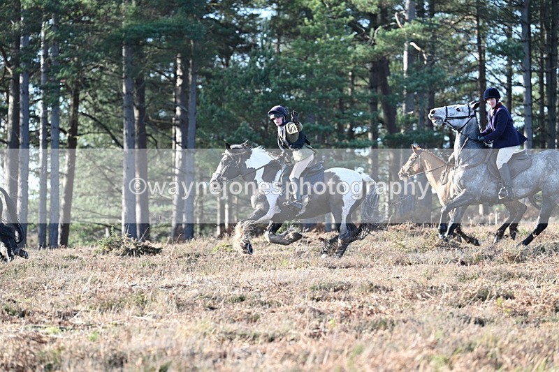 WJ7_7079 - Line 3 (no line 4 or 5)