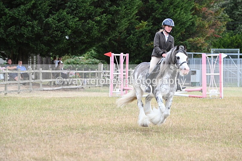 WJ6_9644 - Class 12 Minimus Jumping 45cm