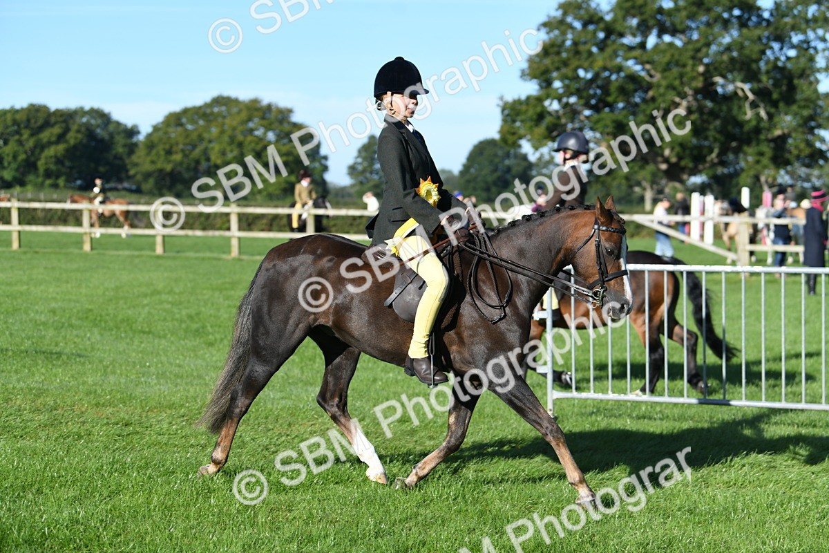 SBM_34141 - S16 - Condition & Turnout - Ridden
