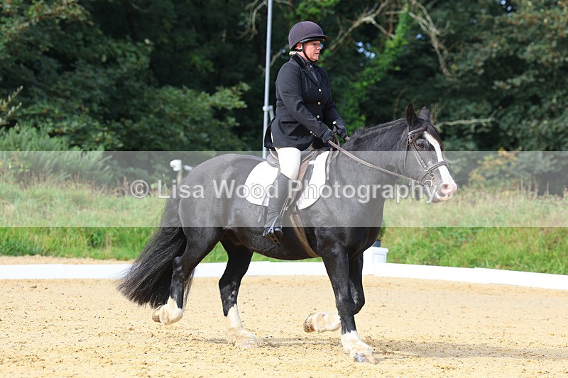 3E7A2342 - Class 1: Intro 4 2024 section A