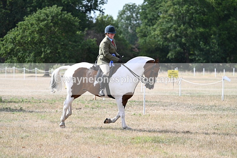 WJ7_7499 - Class 14 Ridden Coloured