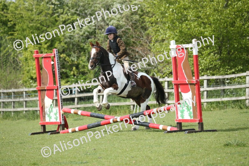 20260426-1585 - Class 14 - Novice 60cm