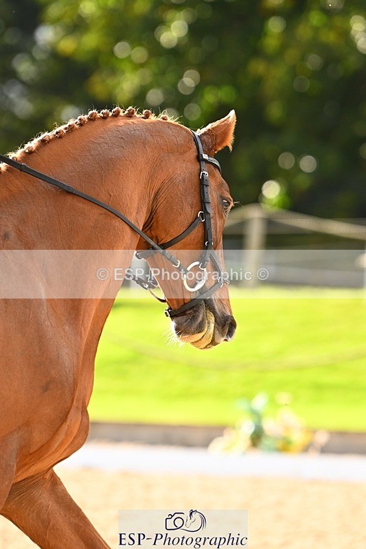 231020-144208-10021 - 309-CROSSTOWN.FINTANS.LAST-Catherine.Burrell-DR