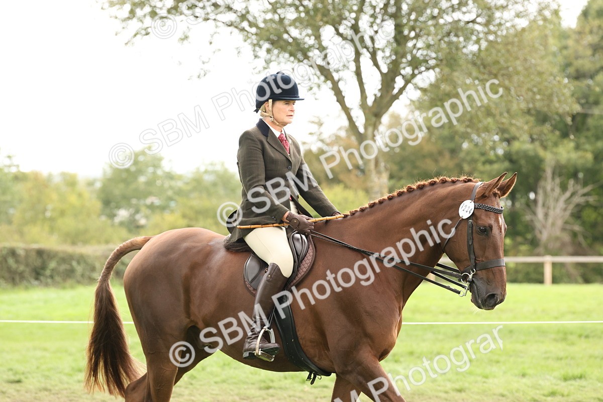 SBM_64146 - S65 - Riding Horse & Hack & Thoroughbred Ridden