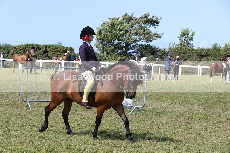 1X9A5322 - Class 37: NPS M&M First Ridden