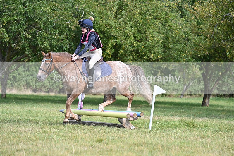 WJ7_5659 - 40cm XC Time 10:05 to 10:36