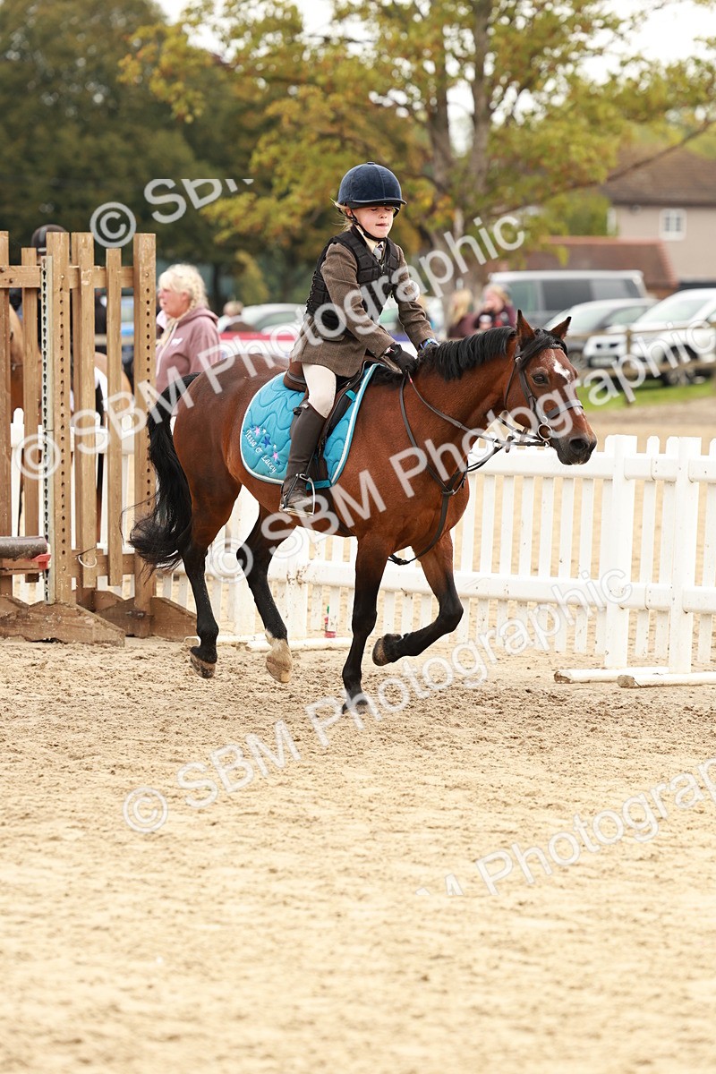 SBM_57735 - J11 - Junior Pony 50cm Championship