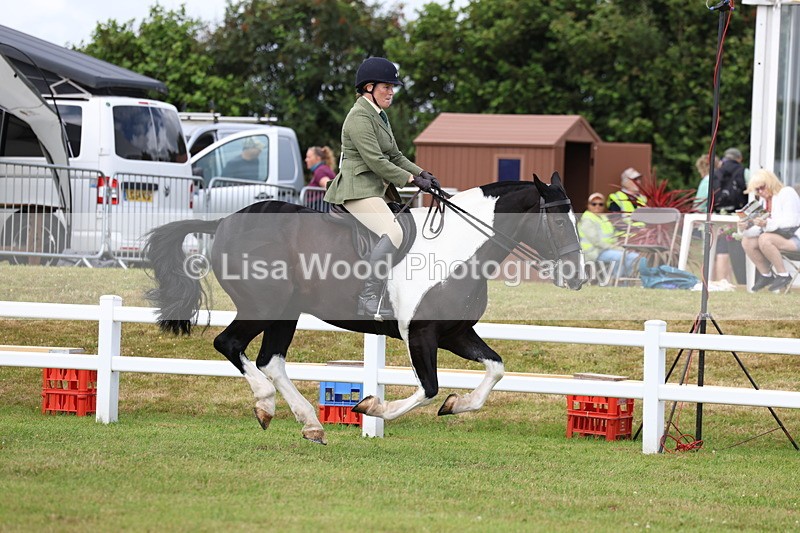 3E7A0339 - Class 6: Rising Star Maxi Cobs