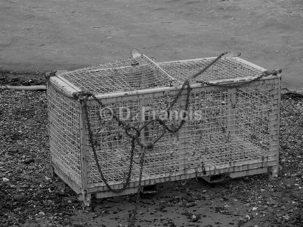 Cage, Thames Beach (b&w) - By The Thames