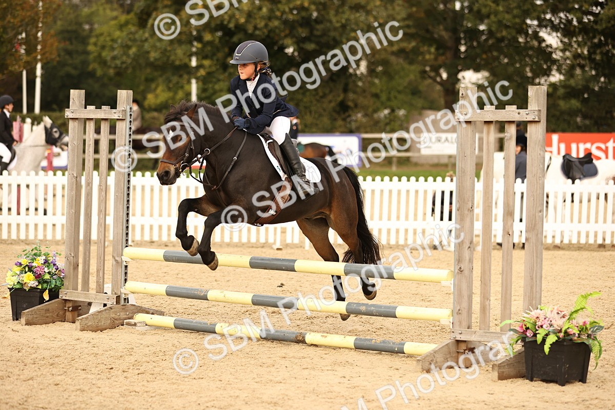 SBM_74345 - J14 - Junior Pony 65cm Championship