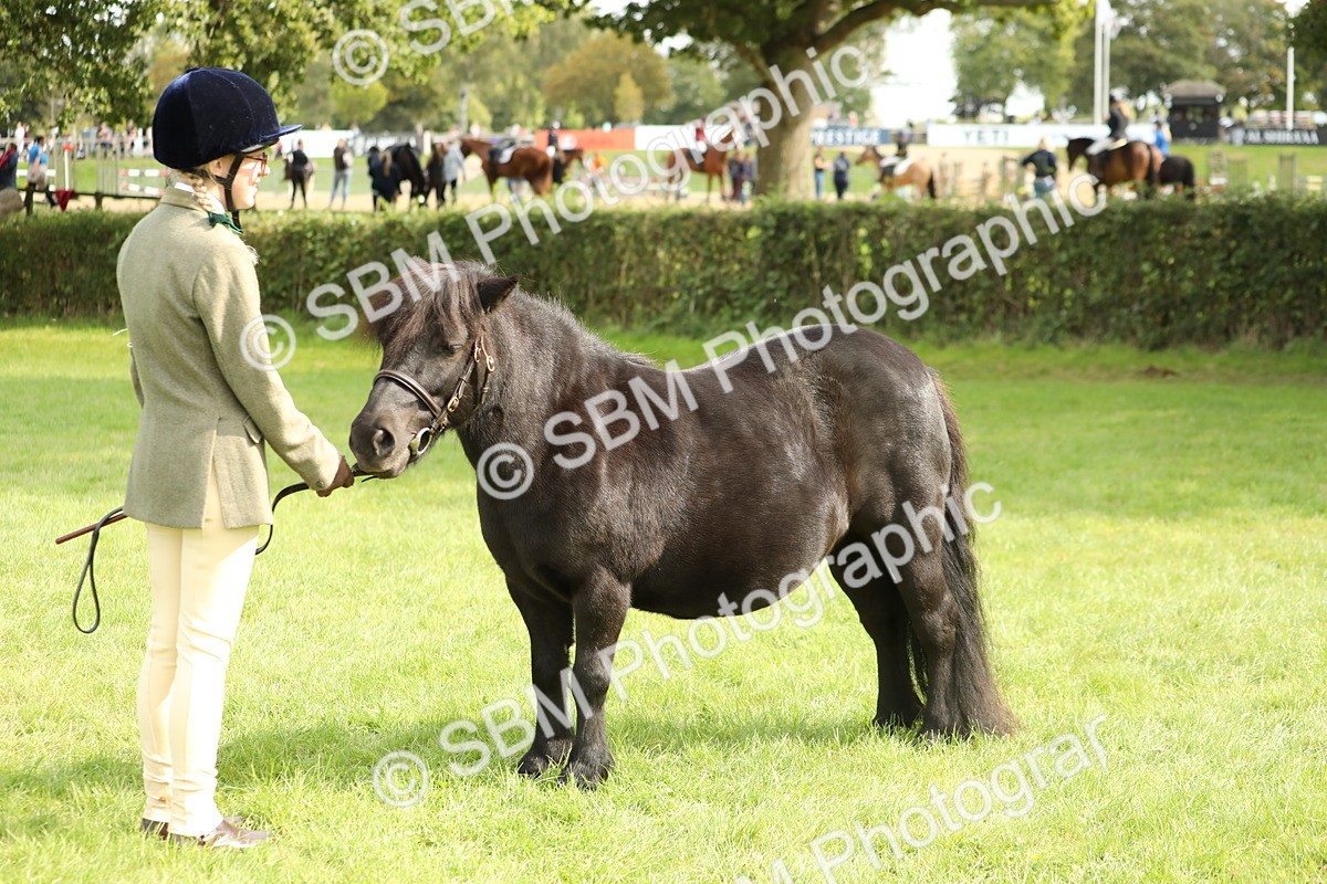SBM_62829 - S46 - Mountain & Moorland In Hand Small Breeds