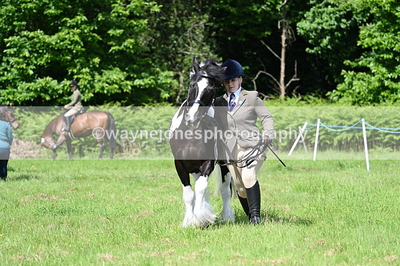 WJ7_1176 - Class 11 Condition & Turnout