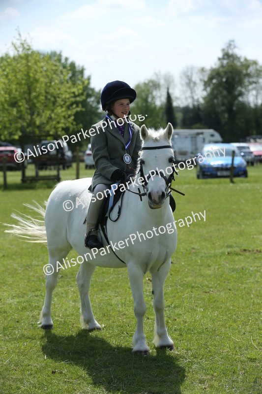 20250427-2840 - Class 7 - Prettiest Mare