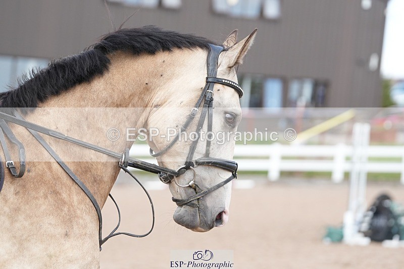 250805-152348-00104 - Clear Round and 60cm