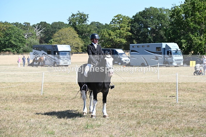 WJ6_8456 - Class 37a Best Loan Pony Ridden