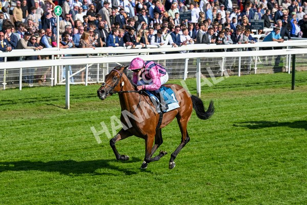160525-Race 6-Bowmark-7169 - Race 6 4.55pm Darley EBF 'Confined' Novice Stakes
