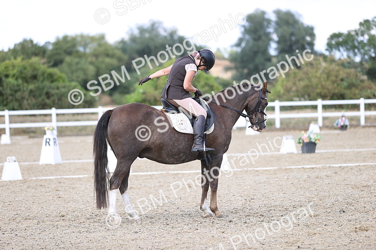SBM_015962 - Class 5 - E5 Bronze  16.18.17.22