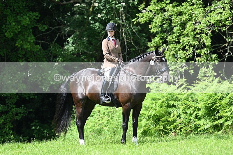 WJ7_1236 - Class 11 Condition & Turnout