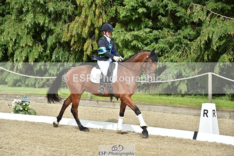 230812-160926-05435 - Novice Bronze Presentations