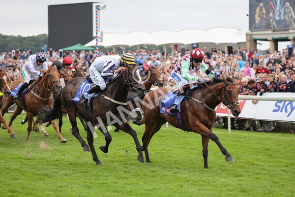 yr24072021r1-76 - Race 1 2.05pm Sky Bet Jump Jockeys Nunthorpe