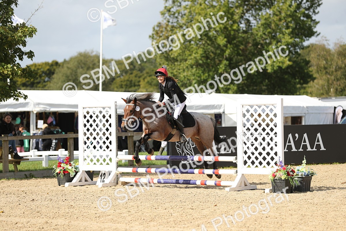 SBM_05657 - J35 - Veteran Rider 60cm