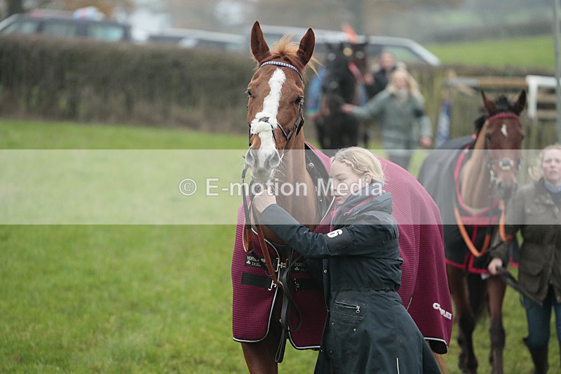 PtP 041222 0131 - Wheatland  Hunt PtP Chaddesley Corbett, Worcs 04/12/22