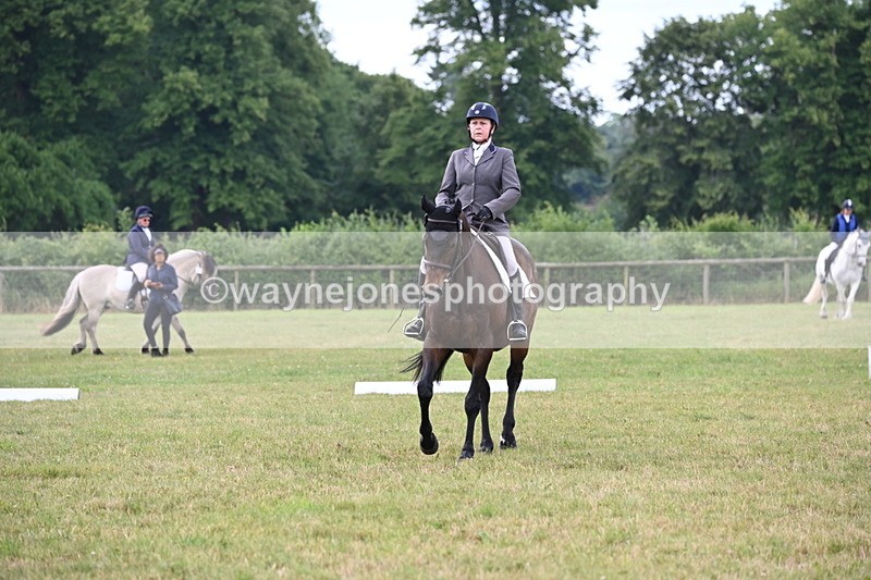 WJ6_6020 - Time 09:46 to 10:26