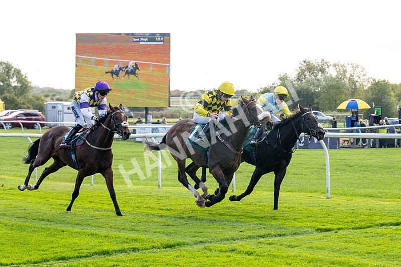 171026-Race 1-Lions Den-4810 - Race 1 1pm EBF 'Confined' Restricted Maiden Stakes