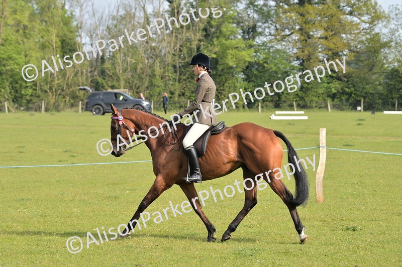 20260426-0882 - Class 18 - Novice Showing