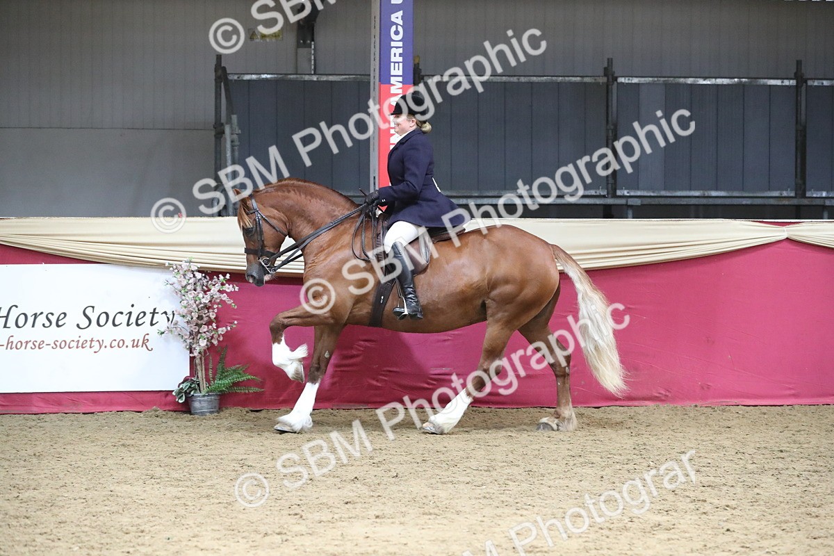 SBM_16393 - Class 502 M&M Ridden Supreme Final