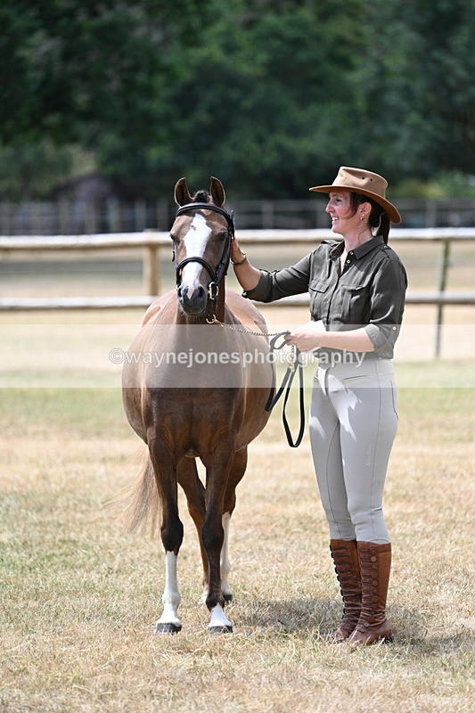 WJ7_2110 - Prettiest Mare Champs