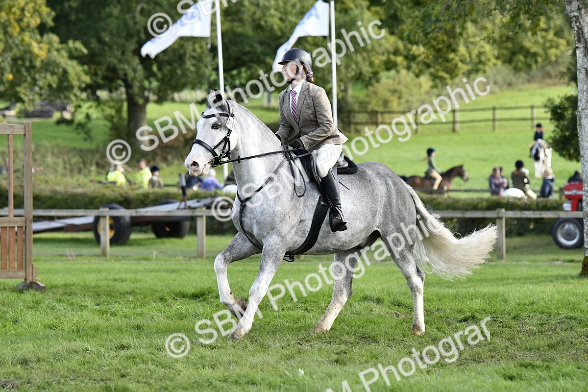SBM_52201 - S35 - Working Hunter & Working Show Horse