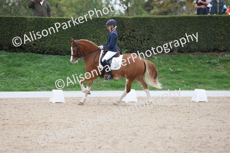 20251011-0414 - Class 4 - Novice 2